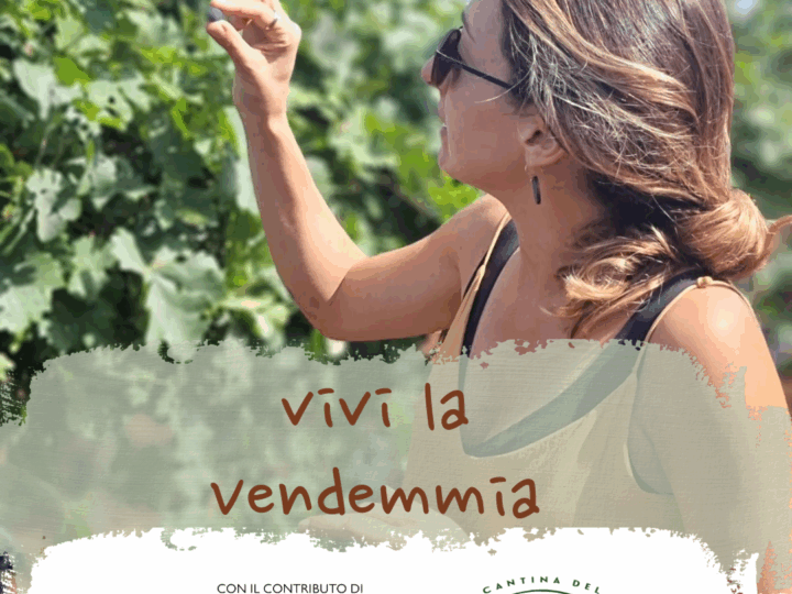 Vivi la vendemmia @ARSIAL